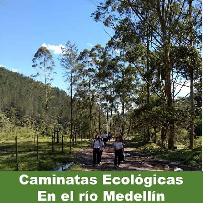 Un grupo de Chicas en una de las Caminatas Ecologicas en el rio medellin