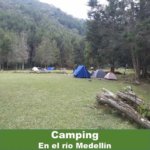 Disfrute de una noche de Picnic