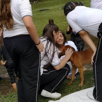 Cuidado de los Animales; Campamento