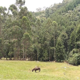 Una postal; Un regalo del Ecoturismo
