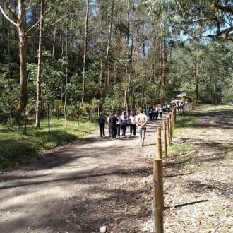 Una postal; Paz en la naturaleza