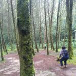 Naturaleza y salud, una pareja inseparable en una jornada de naturaterapia con Green Tour Medellin Colombia