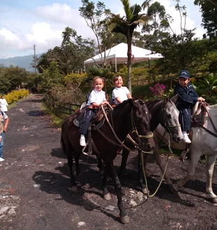 Cumpleaños para niños en la naturaleza